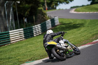 cadwell-no-limits-trackday;cadwell-park;cadwell-park-photographs;cadwell-trackday-photographs;enduro-digital-images;event-digital-images;eventdigitalimages;no-limits-trackdays;peter-wileman-photography;racing-digital-images;trackday-digital-images;trackday-photos